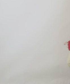 Terracegoods.shopeecc560707 2